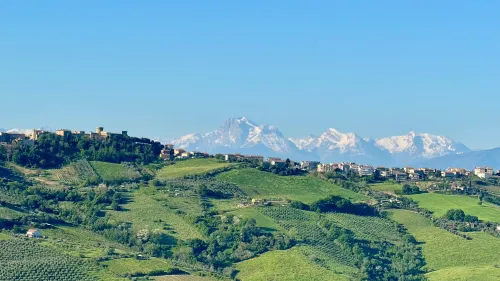 pexels-joepkoek-33623604